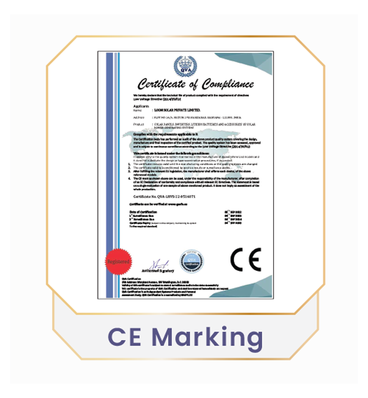 Loom Solar certificate 6