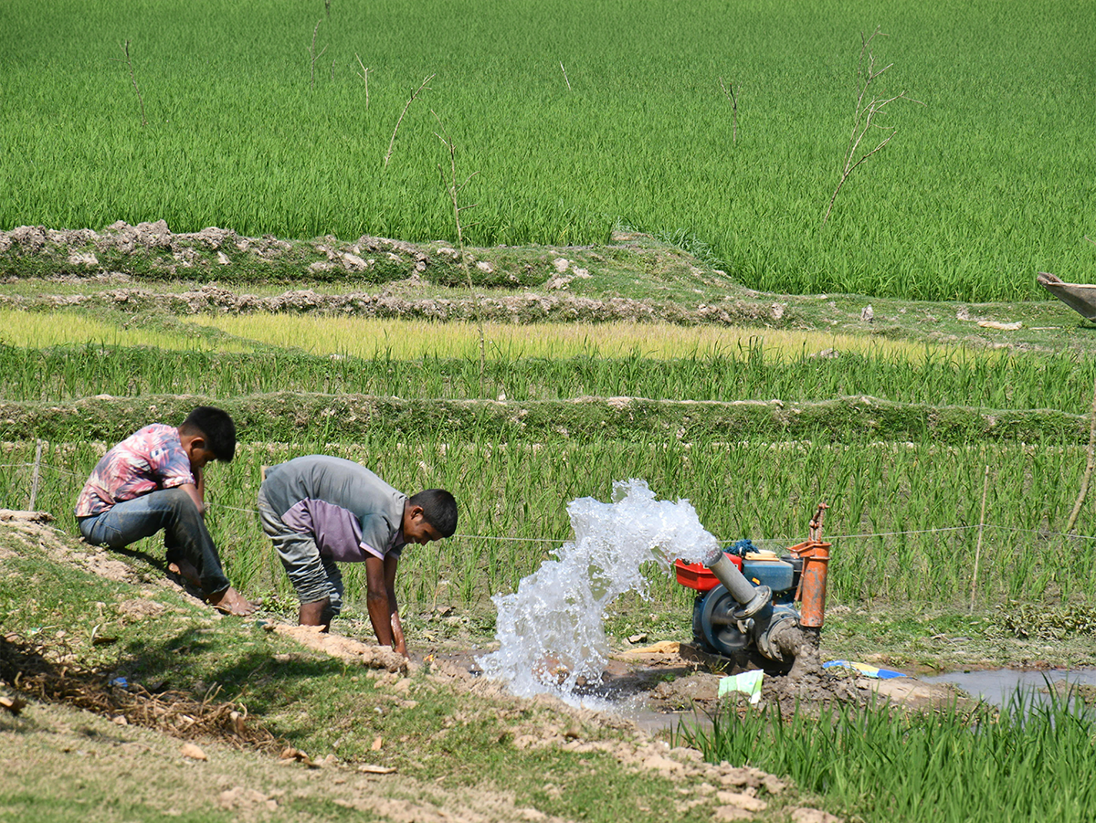 Agricultural land with solar equipment for farm energy needs